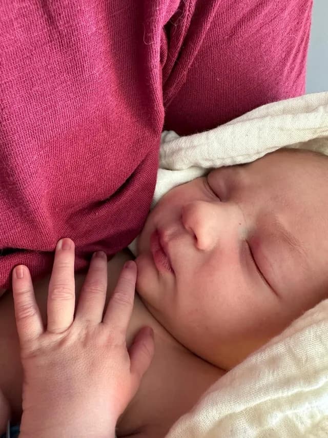 Theo, hello, world